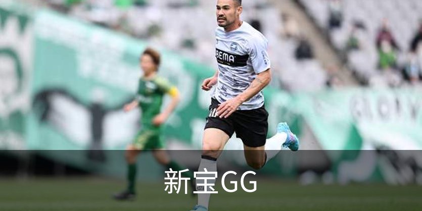 新宝GG简介